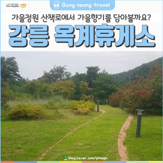  [강릉여행] 강릉옥계휴게소 가을정원 산책로에서 가을향기 담아보세요