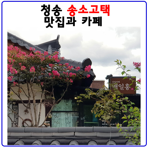 [청송여행]대명리조트.주왕산과 주산지.송소고택의 맛집과 카페까지