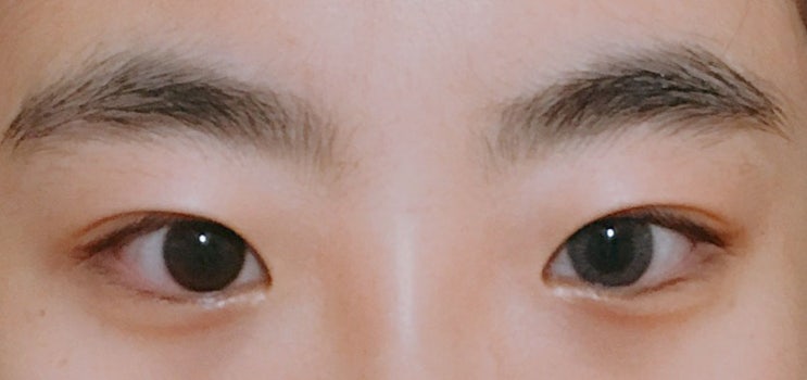  클라렌 1+1 맞이하여 엠마그레이, 클레어그레이 구입!(드디어 클레어그레이 후기)  