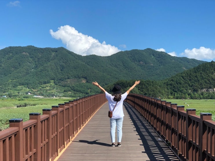  [여수순천뚜벅이] 2박 3일 여수 순천여행 뚜벅이코스 / 2일차 순천! 순천만공원, 순천만습지, 순천맛집, 여수맛집