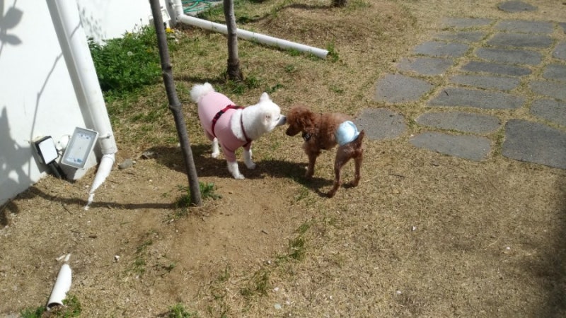 산책같은수다 이미지