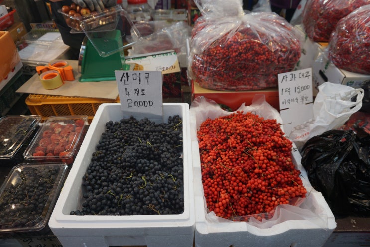  청량리 경동시장·청과물시장! 오미자·젓갈 사기!