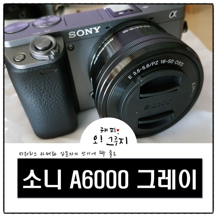  소니 A6000 (ILCE-6000L) 그레이색 구매후기