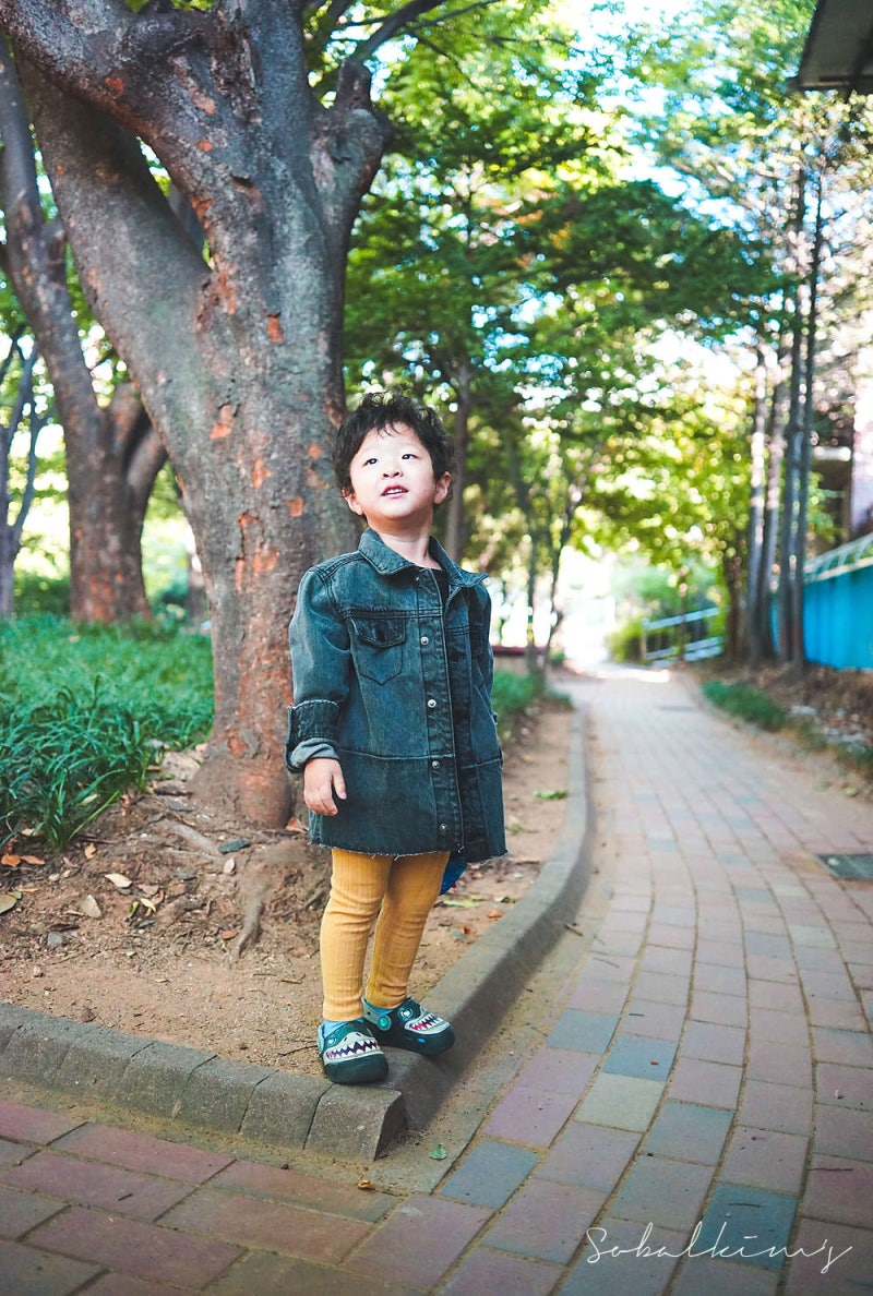 삼양 35mm f2.8 FE 구입 개봉기 (소니 a7m2) : 네이버 블로그