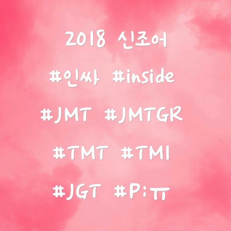  신조어 [ 인싸 TMI TMT JMT JMTGR JGT P;ㅠ 뜻 ]