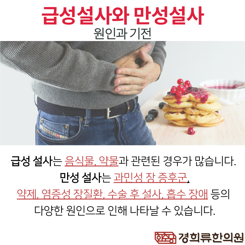 부산대 한의원 산자 효능 체할 경우 설사 완화