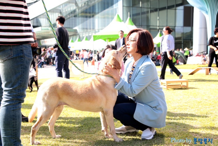  행복이 은수미 성남시장과 2018 성남시 반려동물 페스티벌 참여