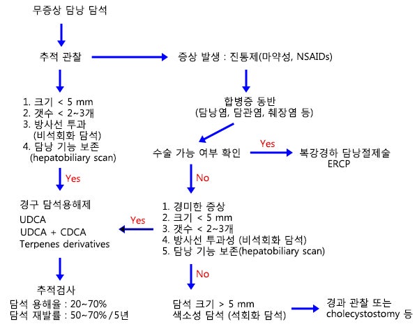 담석증, 담낭(쓸개) 제거 수술 병원 선택유랑기_02