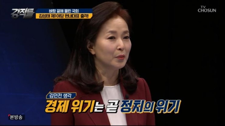  ‘강적들’ 김민전 교수 “경제 위기는 정치서 비롯된 것, 여당만 욕할 수 없어”