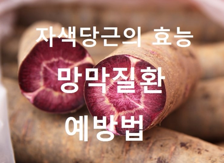  자색당근 효능   망막질환인 ' 황반변성 '에 도움을준다?