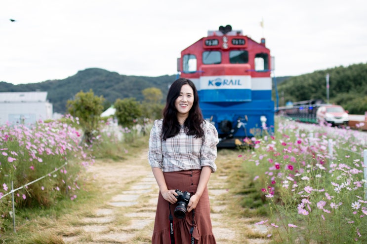 [경남 하동] 청자빛 북천 하늘! 억만송이 꽃향기! 하동 가볼만 곳 '북천 코스모스 메밀축제'