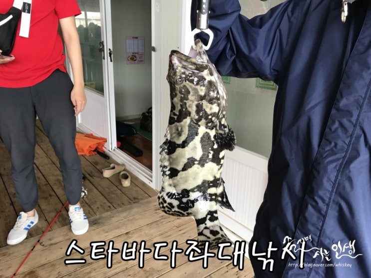  [제부도 낚시터] 스타바다좌대낚시터 후기
