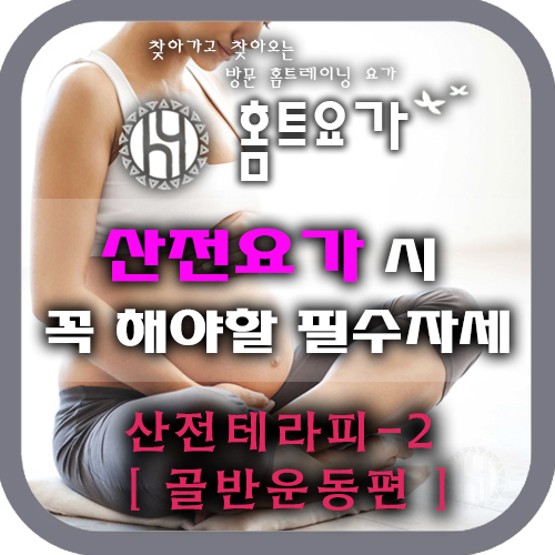  [방문요가 / 임산부 요가 ] 산전요가 시 꼭 해야할 테라피 요가-2 (골반운동 편)