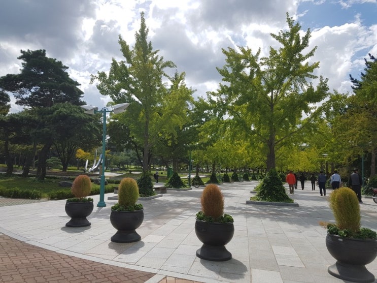  울산여행 울산 가볼만한 곳 울산대공원 동문 핑크뮬리 위치 장소 빨리 가보세요