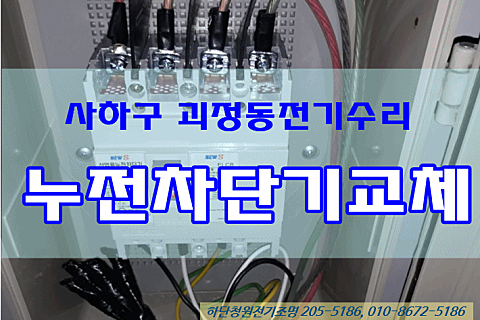 태풍식육점 이미지