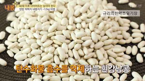 gi지수낮은음식 탄수화물 다이어트 흰강낭콩 효능 먹는법