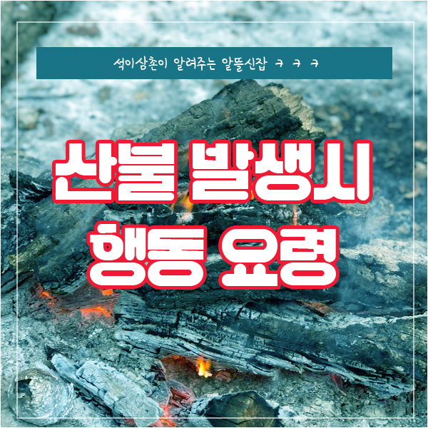  산불 발생시 행동 요령은?