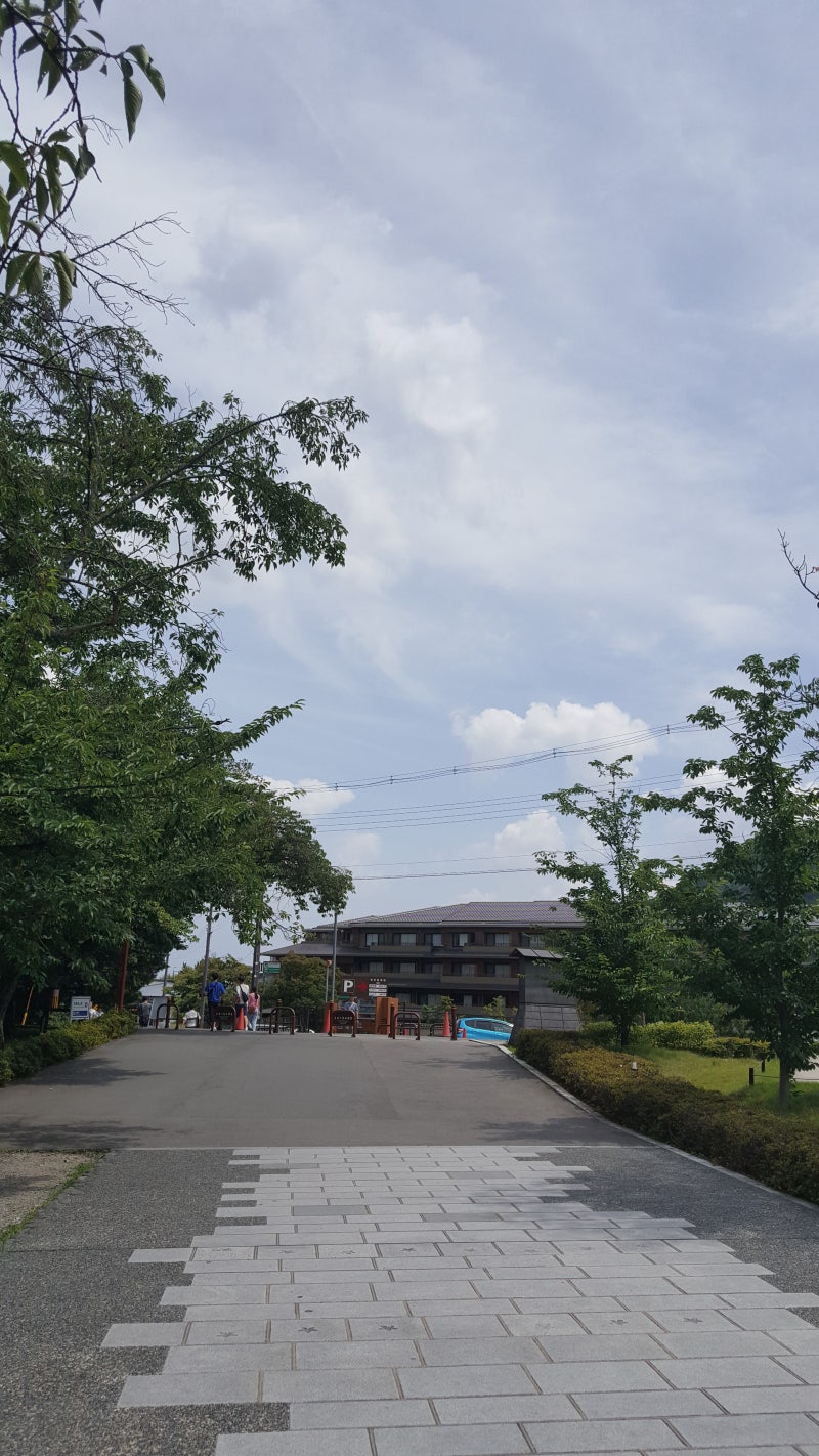 일본여행 4일)교토를 떠나면서(아라시야마에서 우메다로)(2018년 6월) : 네이버 블로그