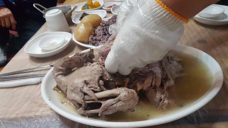 거문오름근처맛집 한방오리백숙 선인별장가든