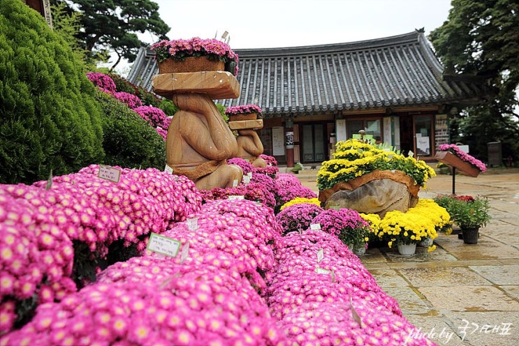  강화도 가볼만한곳-전등사 주변 여행지 모아보기~