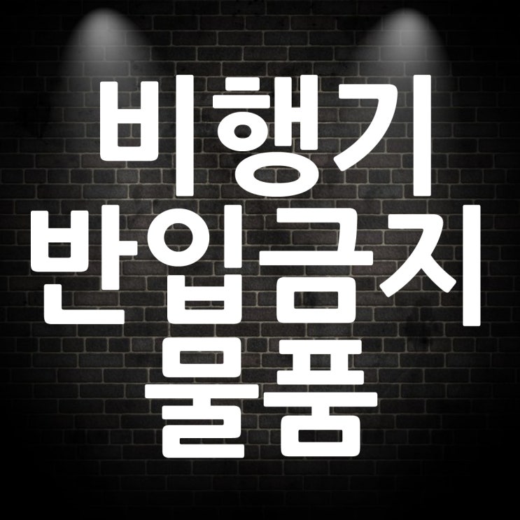  비행기 반입금지 물품