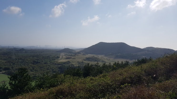  백약이-좌보미-동검은이-높은오름-문석이오름