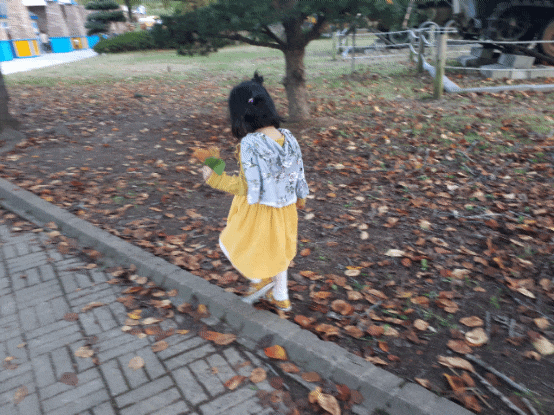  일상) 광주 우치공원 동물원