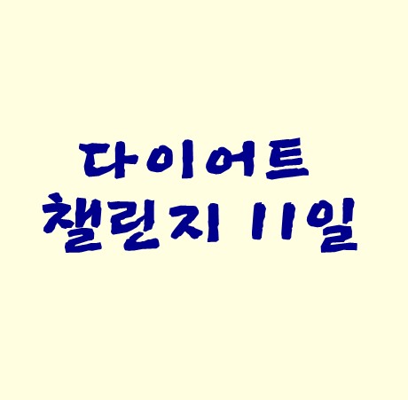 다이어트챌린지 11일차 