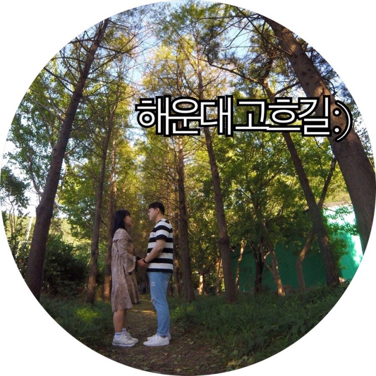  [부산 가볼만한곳]사진찍기 좋은 곳 부산 메타세콰이어길 해운대 고흐길 :)