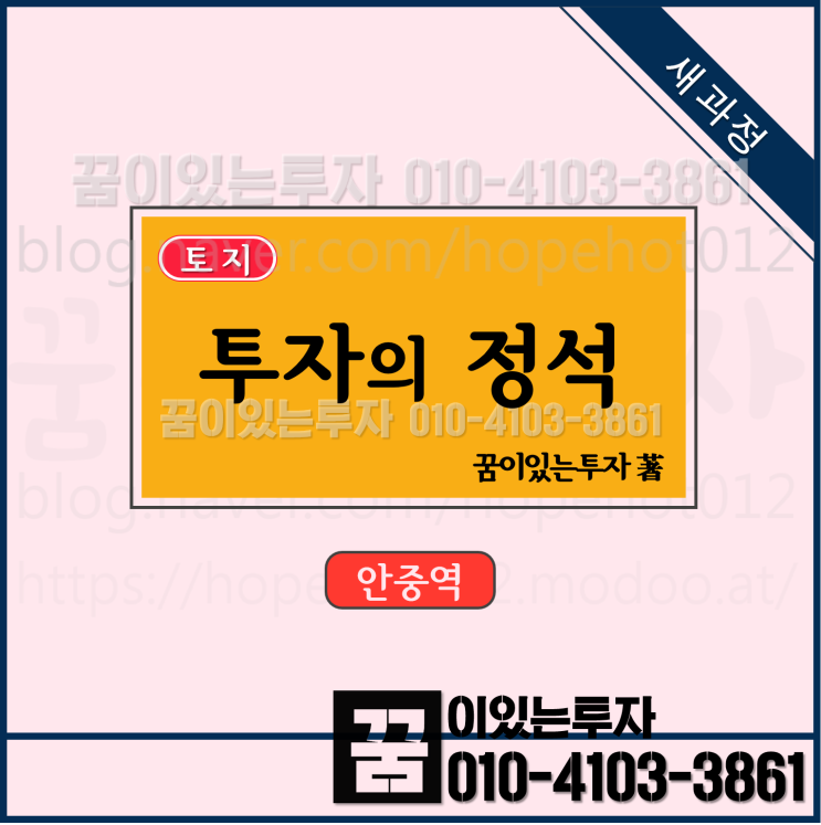 평택 안중역세권 투자의 정석 (평택땅, 안중역, 서해선복선전철, 토지투자) 평택 안중역세권 투자의 정석 (평택땅, 안중역, 서해선복선전철, 토지투자)