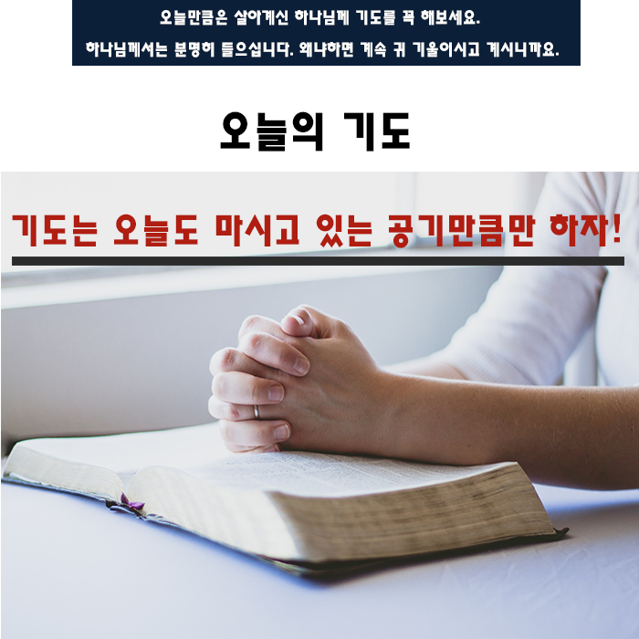 기도(31) 기도(31)