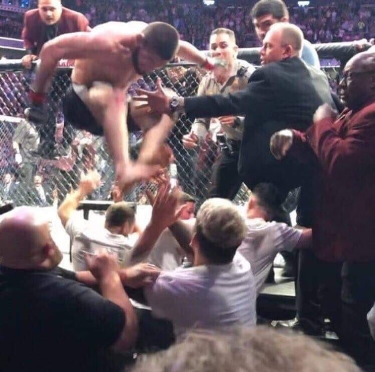 UFC 229 하빕과 팀메이트들의 옥타곤 난투극 정리 UFC 229 하빕과 팀메이트들의 옥타곤 난투극 정리