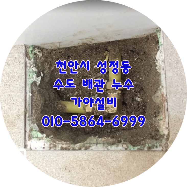  천안시 서북구 성정동 성정아파트 수도배관누수 화장실누수 누수탐지 배관누수공사