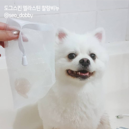  강아지 샴푸바 천연비누 도그스킨 vs. 타제품 비교해본 후기