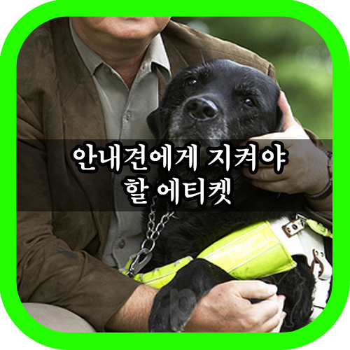  안내견 에티켓을 지켜주세요
