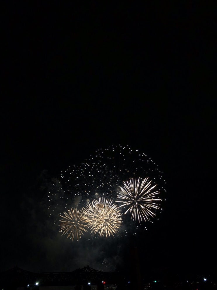  2018 여의도 불꽃축제 따릉이타고 보고왔당❤️