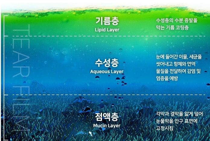 건조한 가을철, 안구건조증 증상을 없애기!