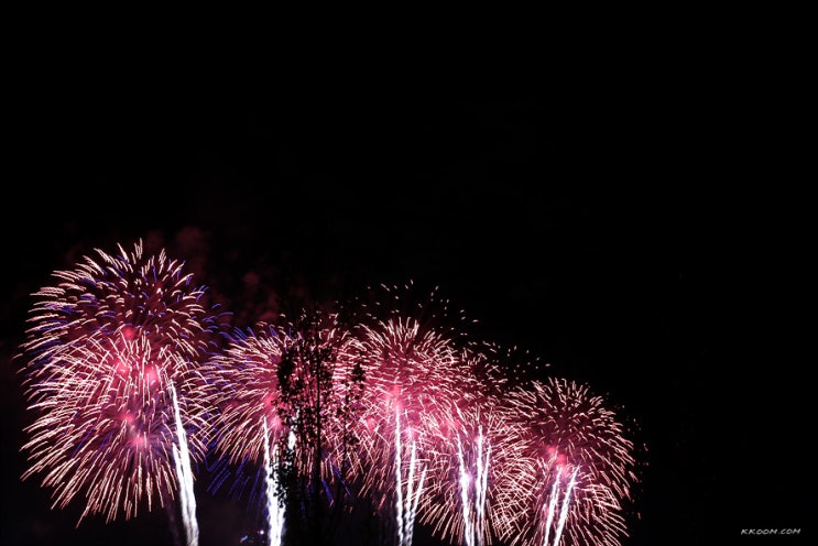 2018 여의도 불꽃축제 후기(이촌한강공원)