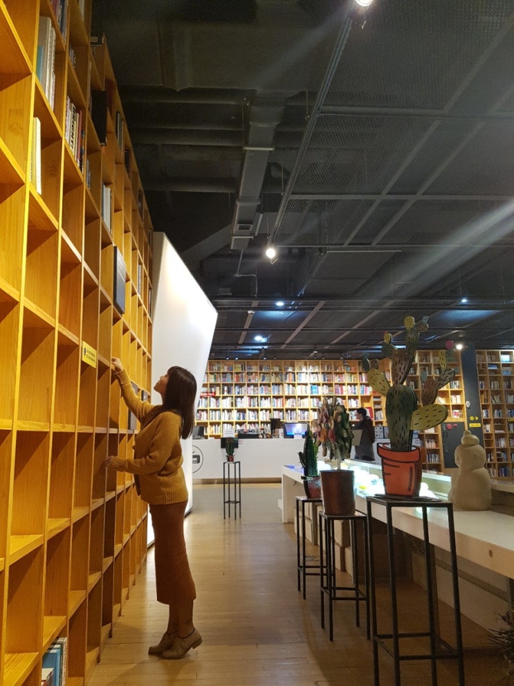  파주 출판산업단지 지혜의숲 도서관을 끝으로 당일치기여행 마무리