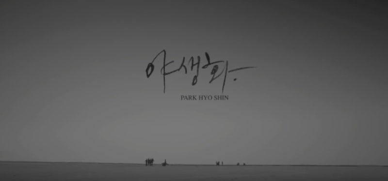 박효신 - 야생화 듣기/가사/뮤비(MV)