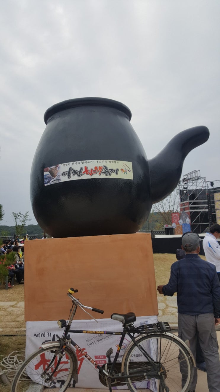  영천 한약축제/영천 와인페스타 영천에 물들다...