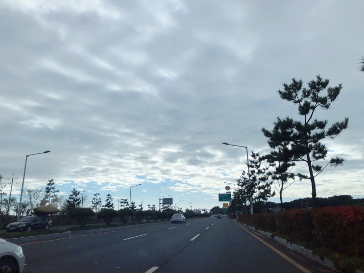  [대천여행 5.] [대천여행코스추천] 대천 가볼만한 곳 '대천해수욕장'에서 바다보며 힐링해요