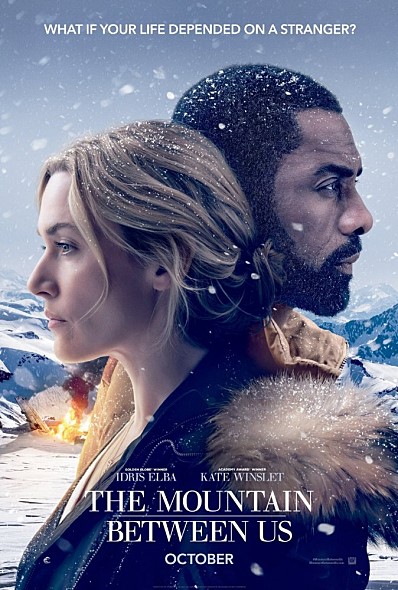  우리 사이의 거대한 산 (The Mountain Between Us, 2017)