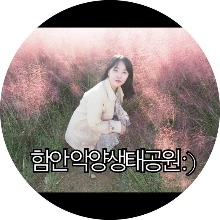 [경남 함안 가볼만한곳]핑크뮬리 함안 악양생태공원 : )