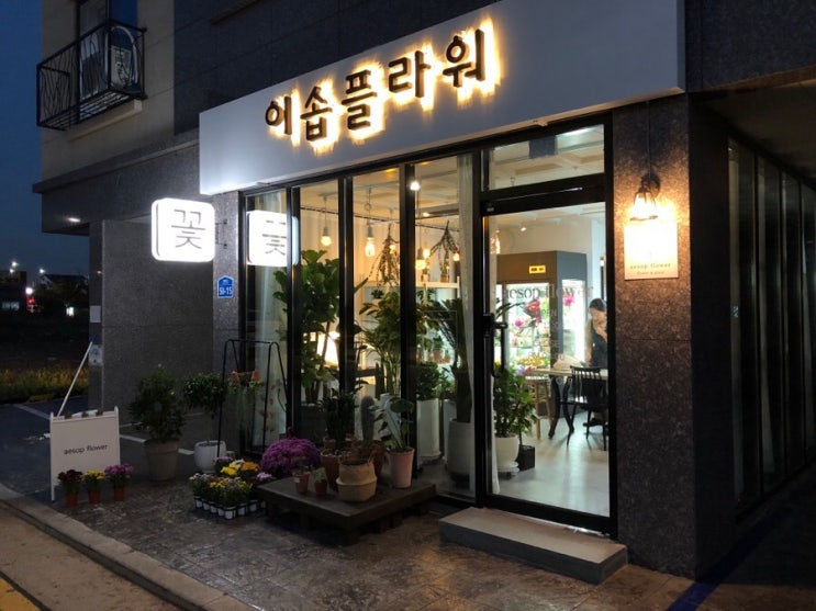  안중꽃집 이솝플라워 생화 꽃다발예뻐요 꽃선물 안중까페 플랜테리어 화분 추천