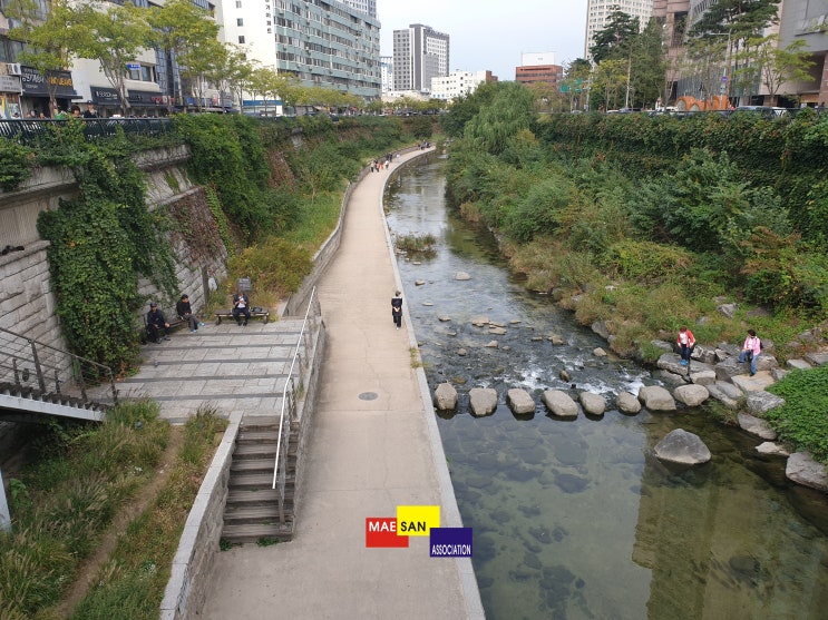 [서울 나들이 1부] 동묘구제시장,동묘벼룩시장,동묘완구거리,왕산골왕찐방,청계천까지 하루 종일 돌아다니고 무릎 아프다