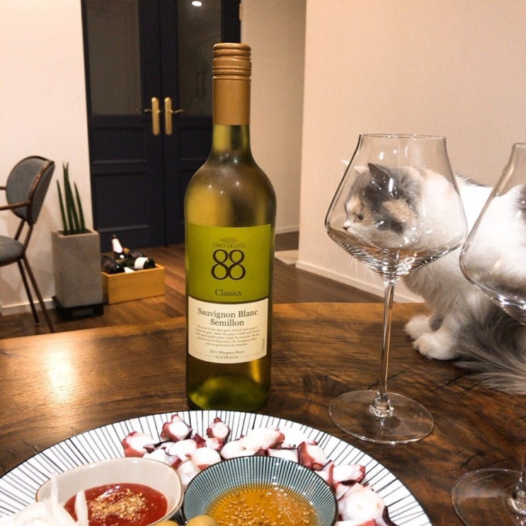  화이트 와인 추천 -  Two Eights Sauvignon Blanc Semillon 2011 (투 에잇츠 쇼비뇽블랑 세미용)- 그리고 문어숙회 & 뽈뽀!