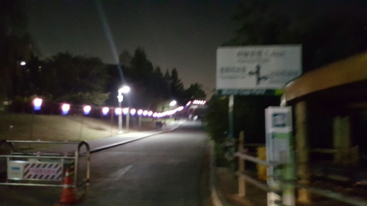  하늘공원 억새축제 예쁘당