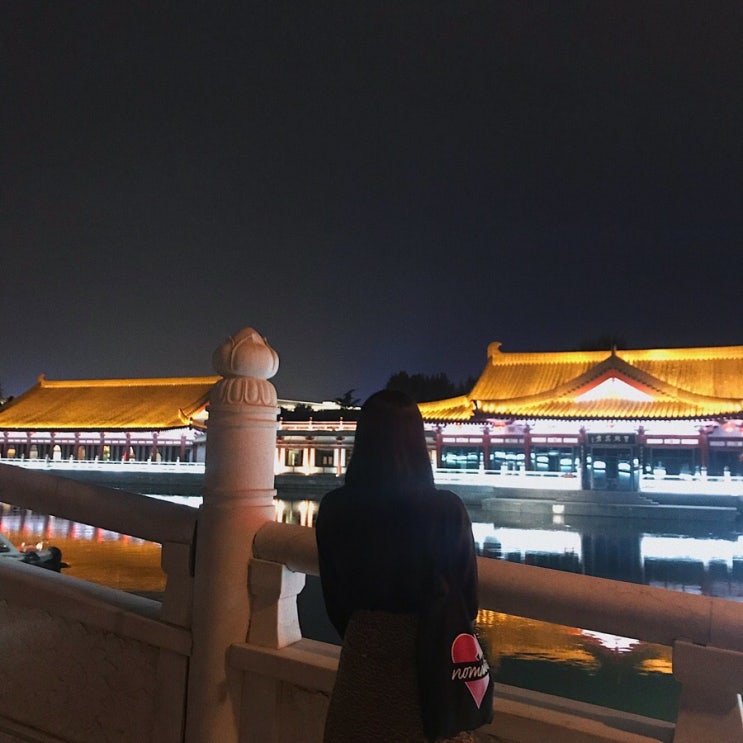  181006 중국 서안 西安 여행 2박3일 섬서역사박물관 陕西省历史博物馆+천하제일면 天下第一面+대안탑 大雁塔+대당부용원 大唐芙蓉园편