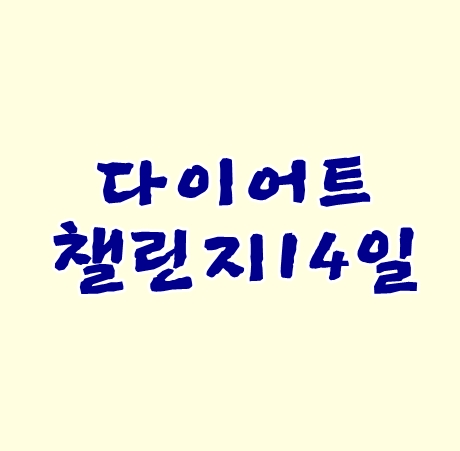 다이어트챌린지14일 추울땐 따뜻한게 최고